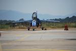 un alpha jet de la patrouille de France  ; base du palyvestre Hyeres 83